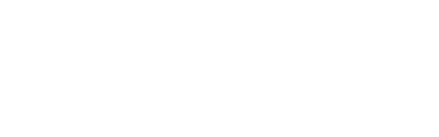 Palvida